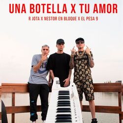 Cover of Una Botella X Tu Amor