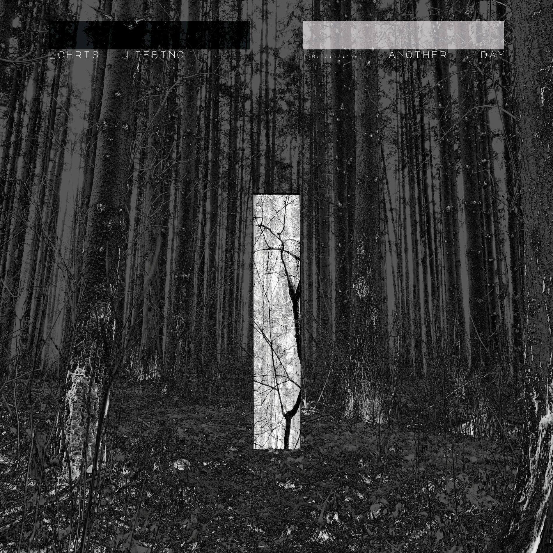 Album cover of Circles