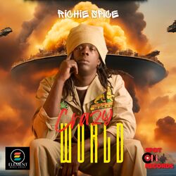 Cover of Crazy World