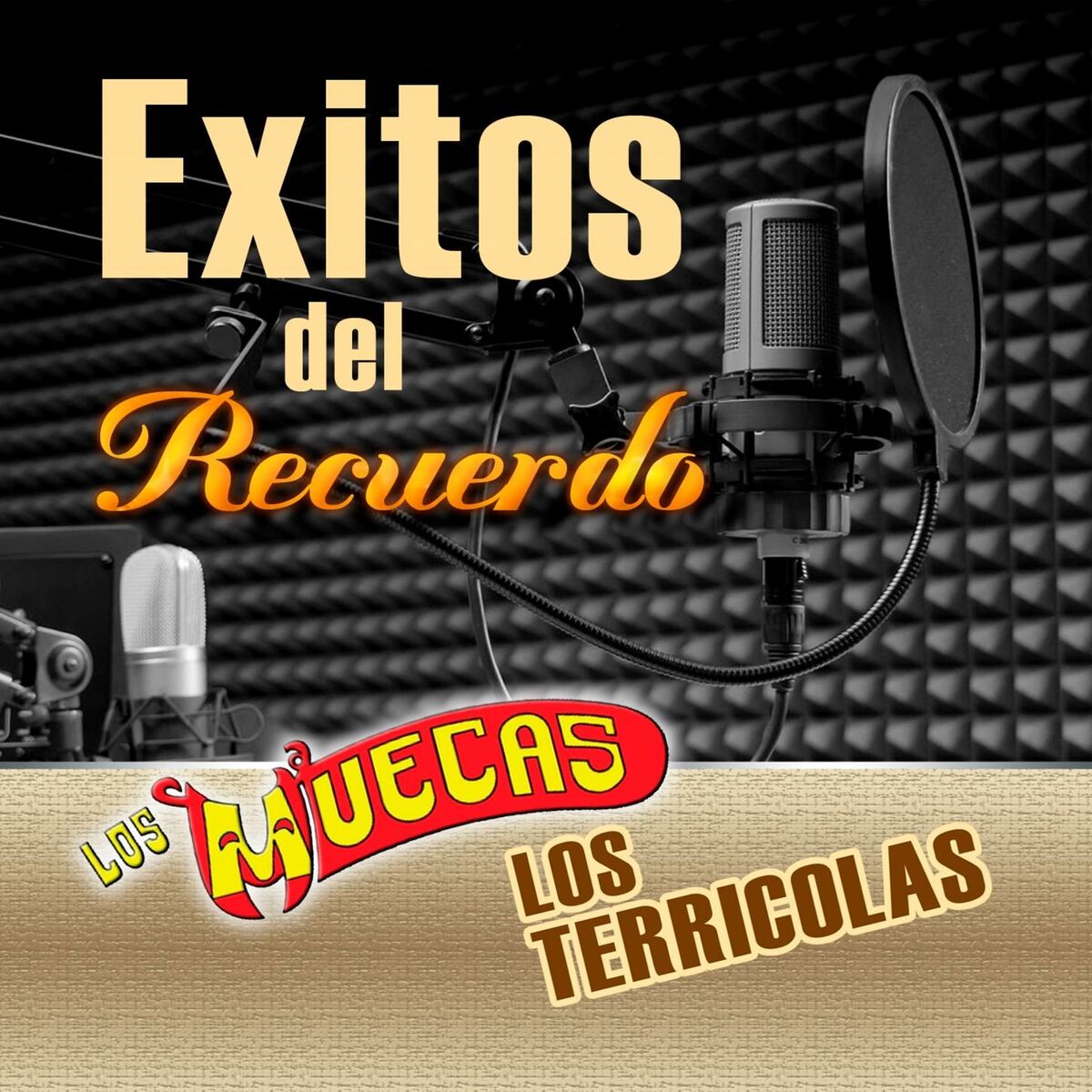 Album cover of Exitos Del Recuerdo