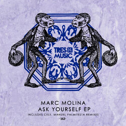 Cover of Ask Yourself