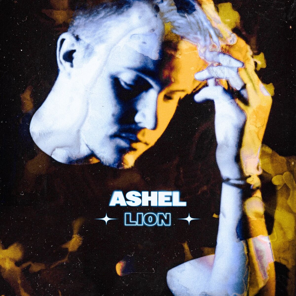 Album cover of Lion