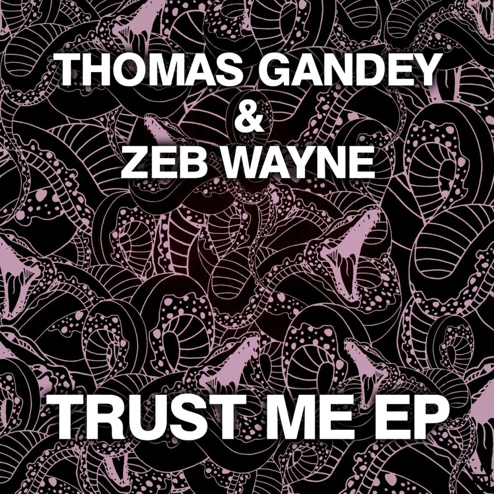 Picture of Trust Me EP