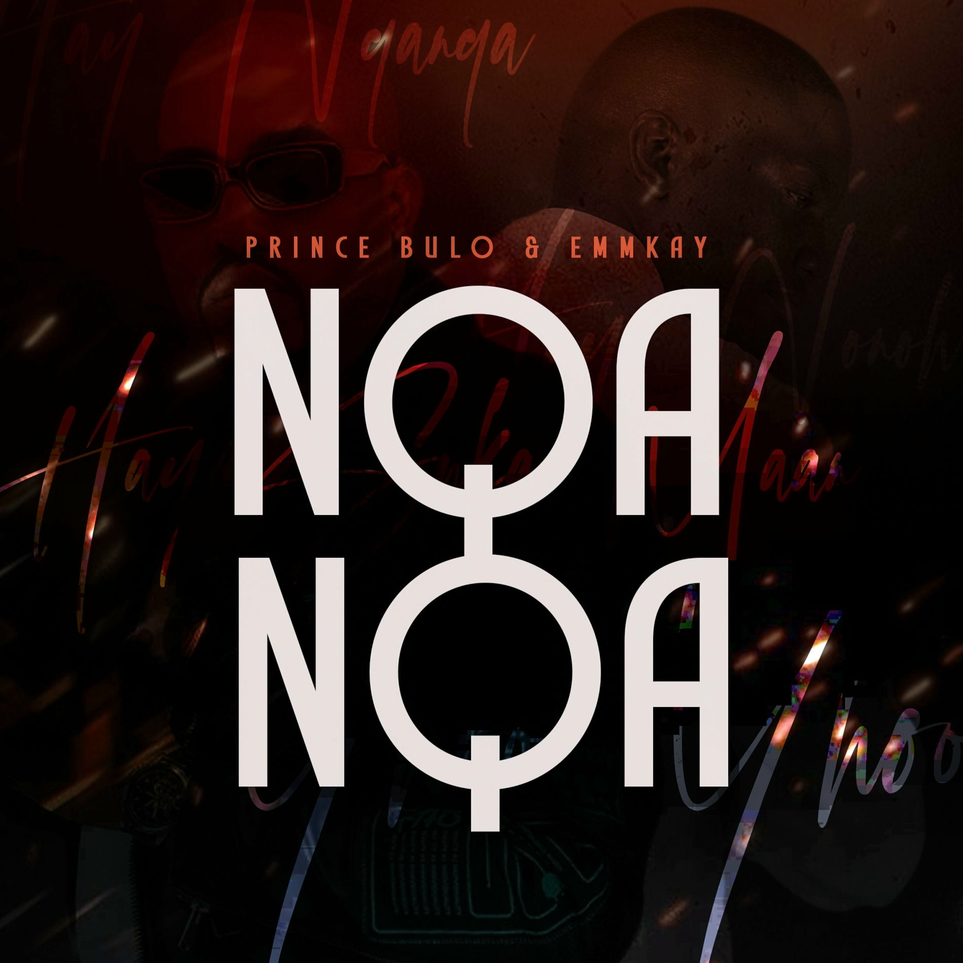Album cover of Nqanqa