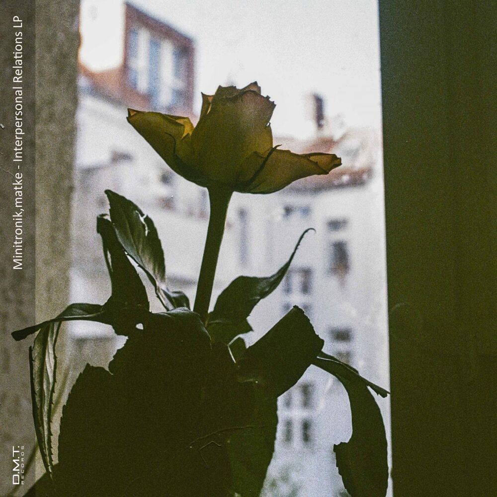 Picture of Interpersonal Relations LP
