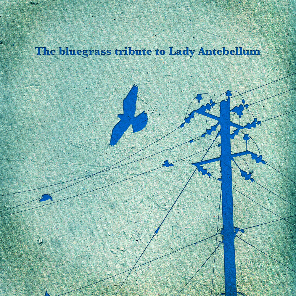 Picture of The Bluegrass Tribute to Lady Antebellum