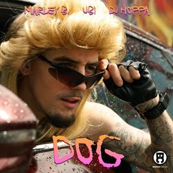 Cover of Dog