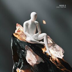 Cover of Need 2