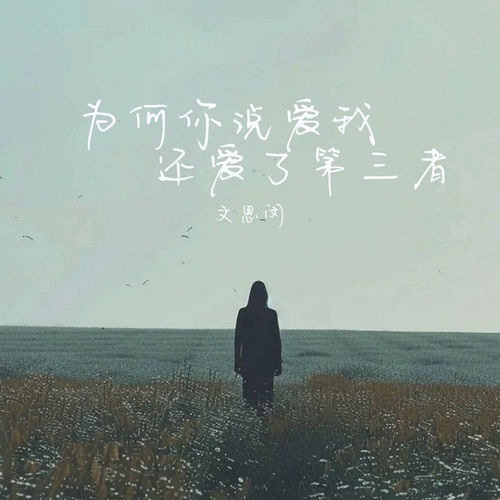 为何你说爱我还爱了第三者