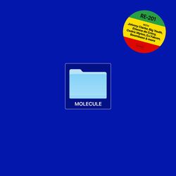 Cover of RE-201
