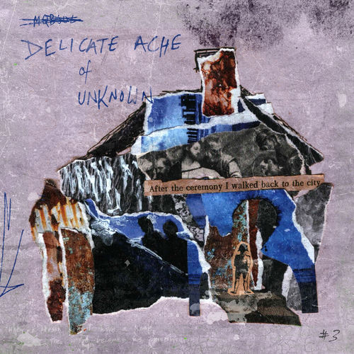 Delicate Ache Of Unknown