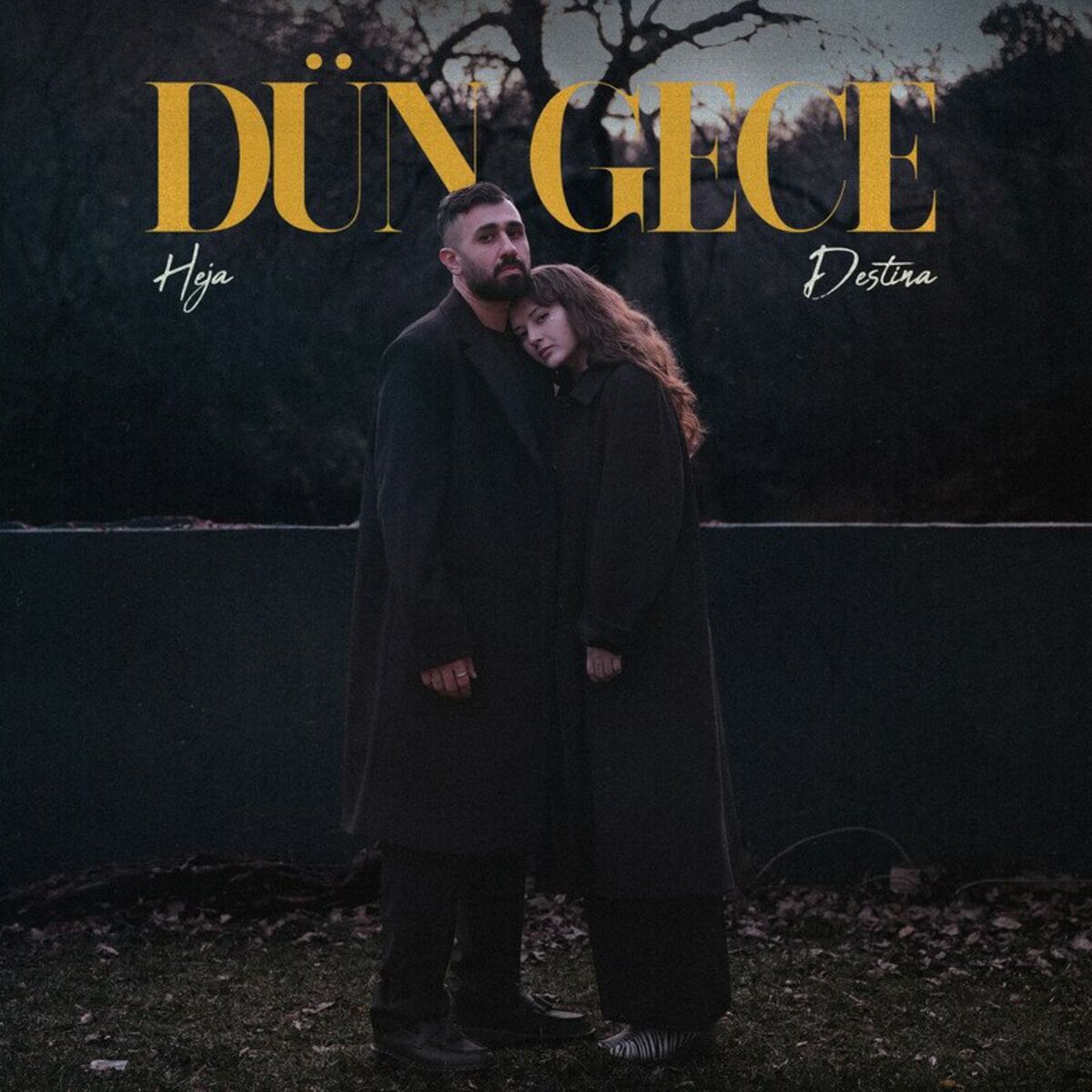 Album cover of Dün Gece