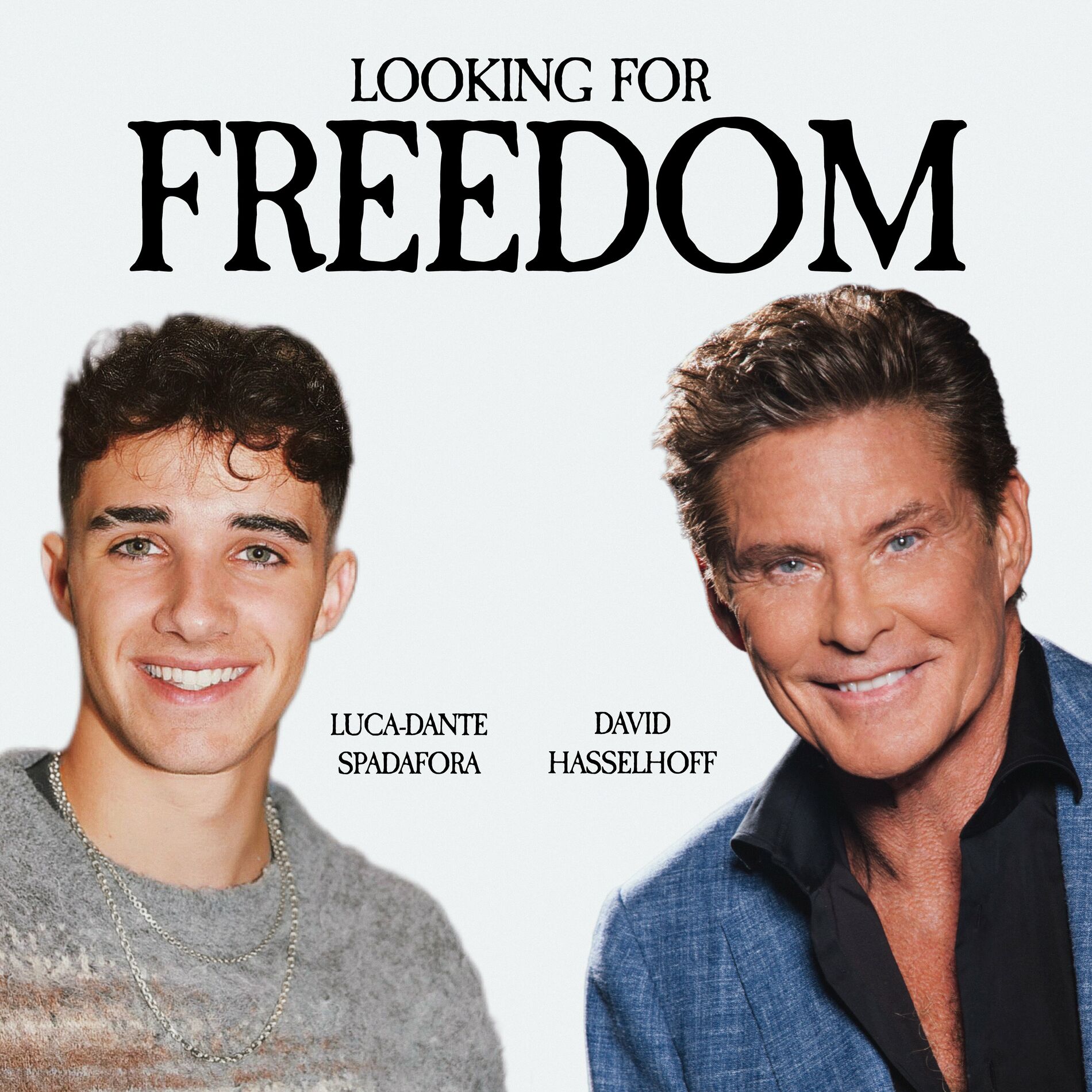Album cover of Looking for Freedom