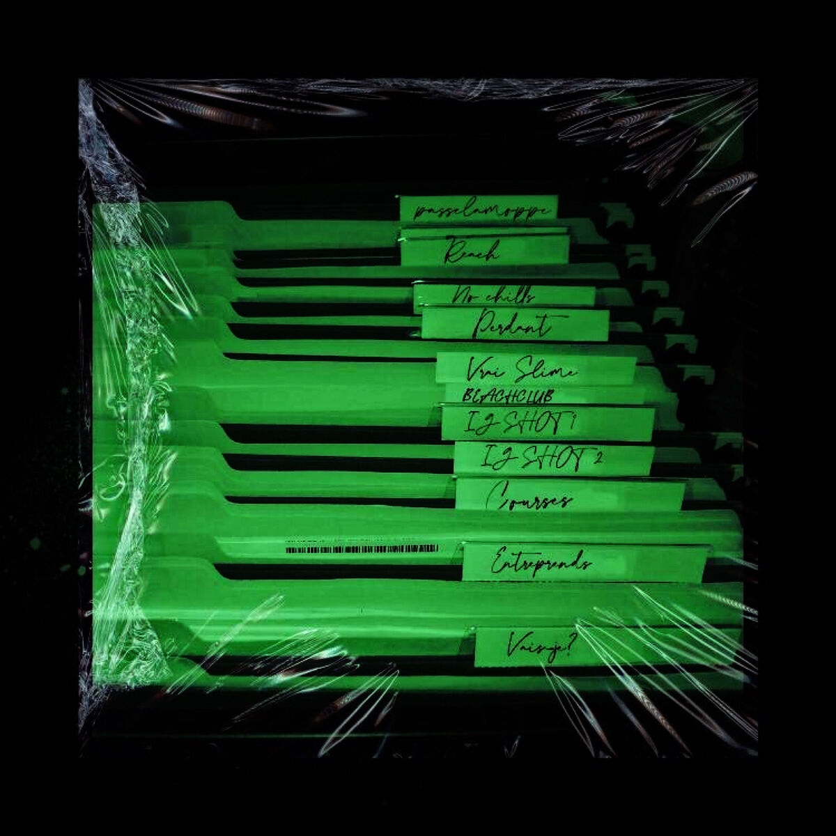 Album cover of Vrai Slime