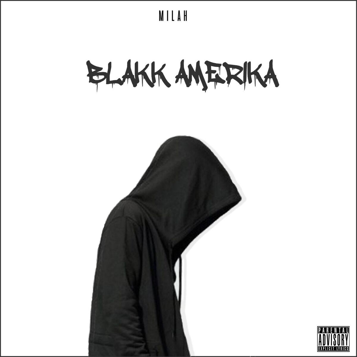 Album cover of Blakk Amerika