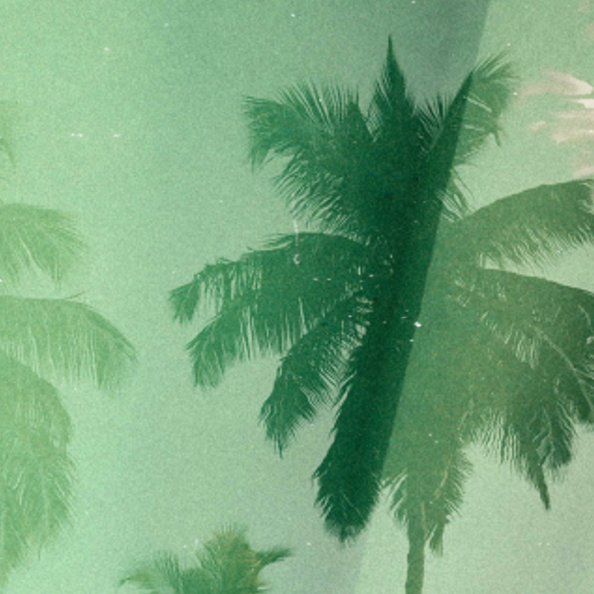 Album cover of Back To You