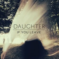 Cover of If You Leave