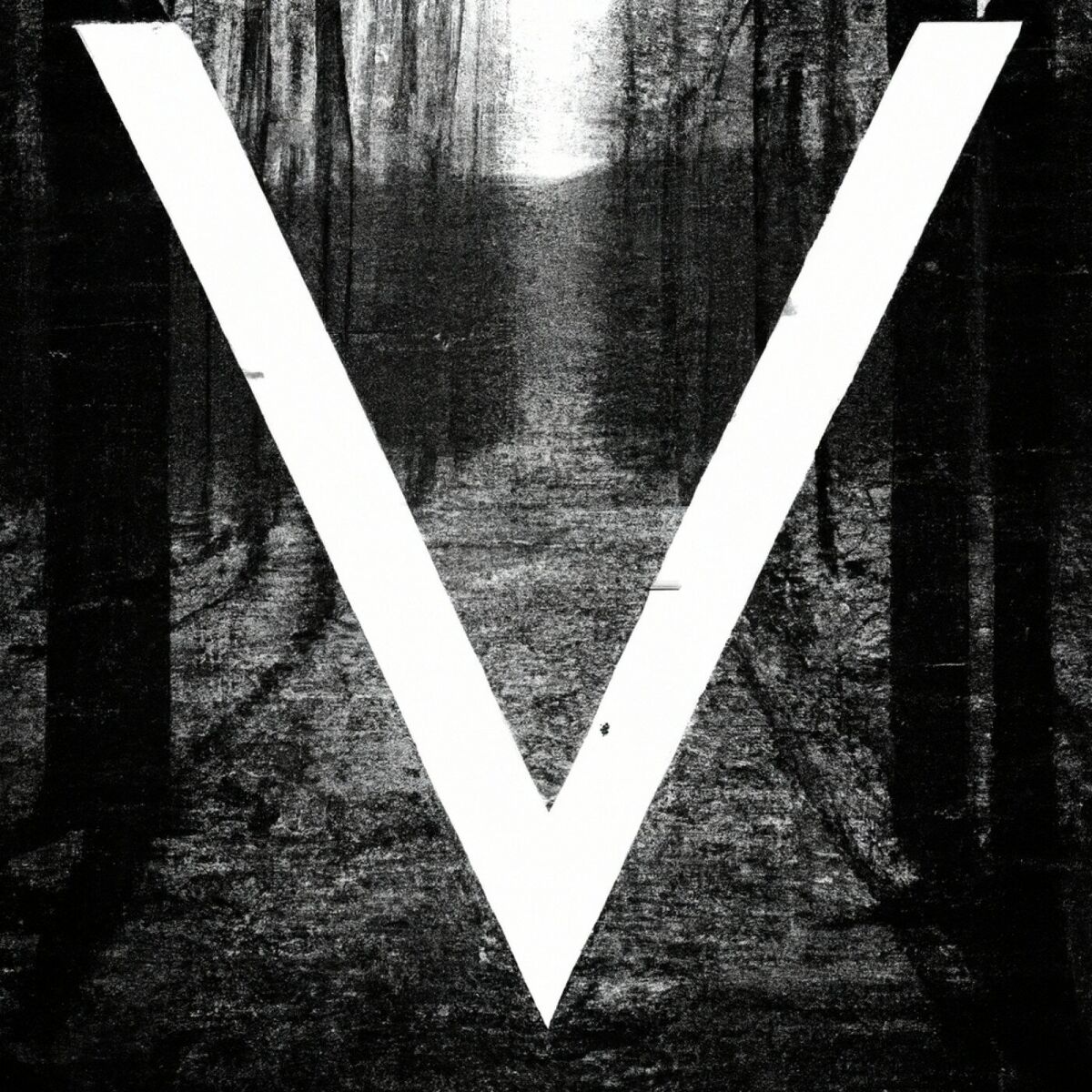 Album cover of V
