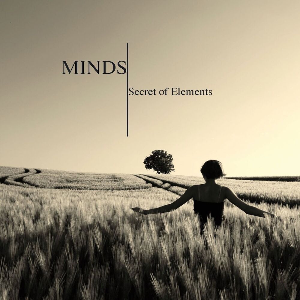 Picture of Minds