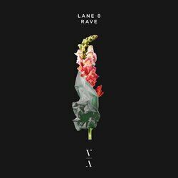 Cover of Rave