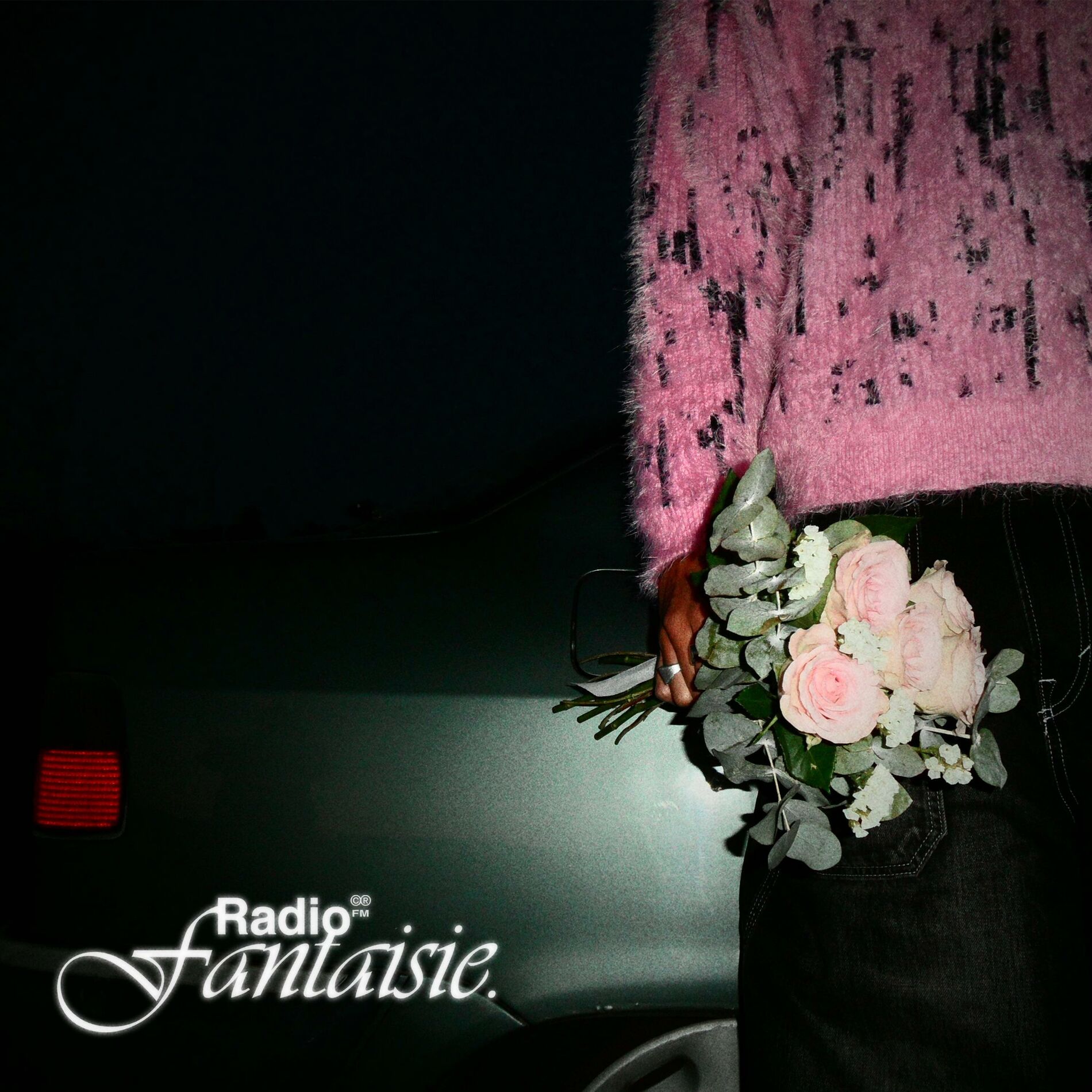 Album cover of RADIO FANTAISIE