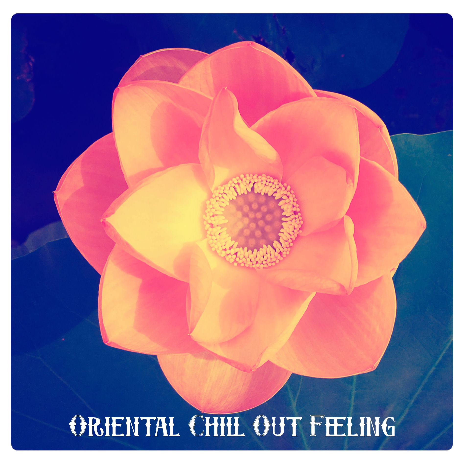 Album cover of Oriental Chill Out Feeling