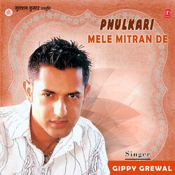 Cover of Phulkari