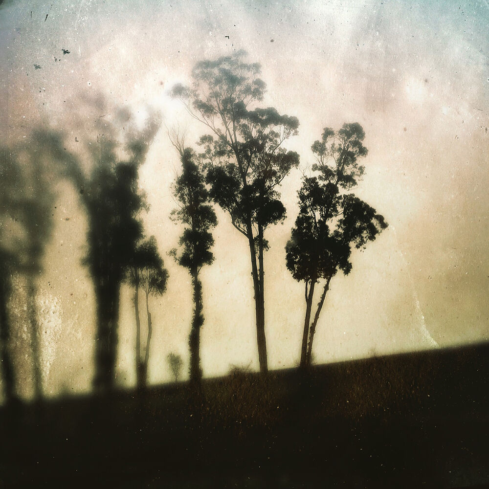Picture of Loose Limbed EP