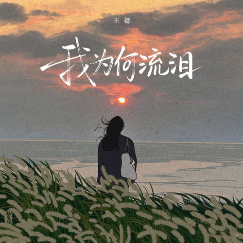 我为何流泪