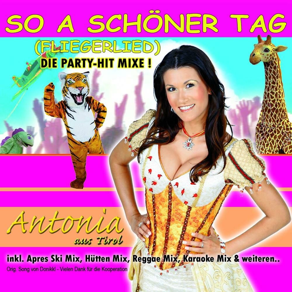 Picture of So a schöner Tag (Fliegerlied) Hitmixe