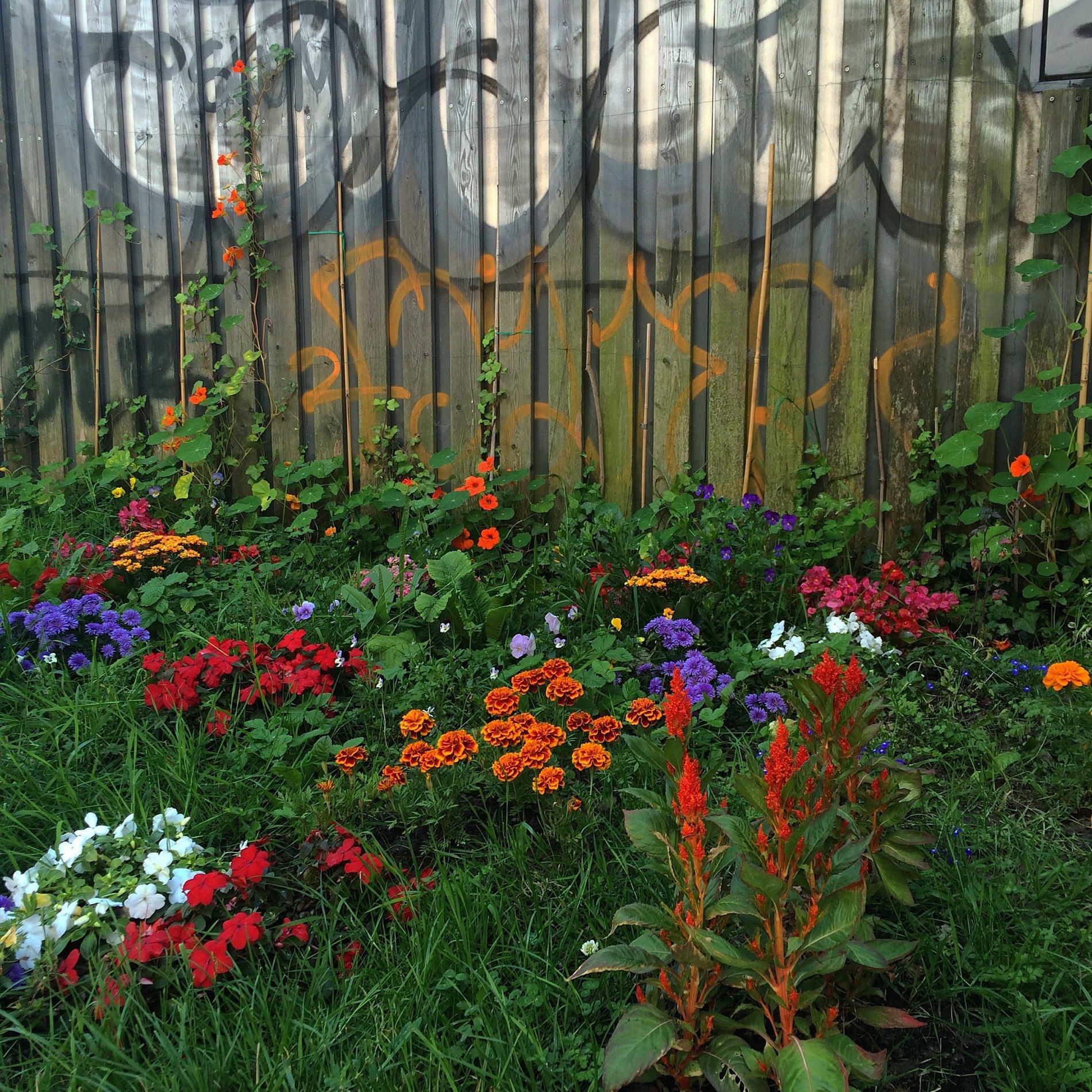 Album cover of Light Lock