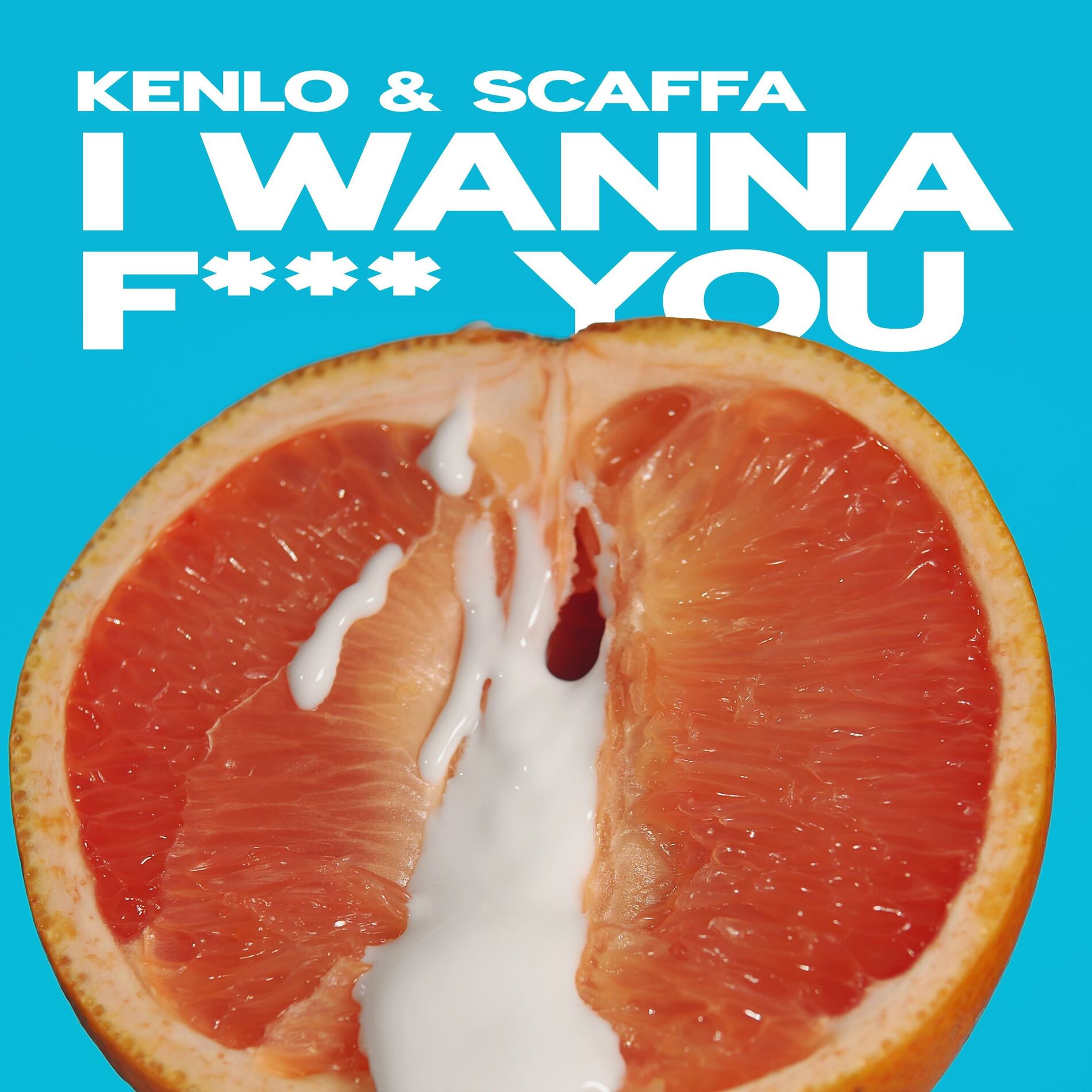 Album cover of I Wanna Fuck You