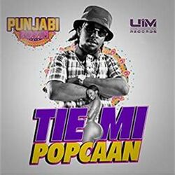 Cover of Tie Mi