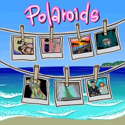 Cover of Polaroids