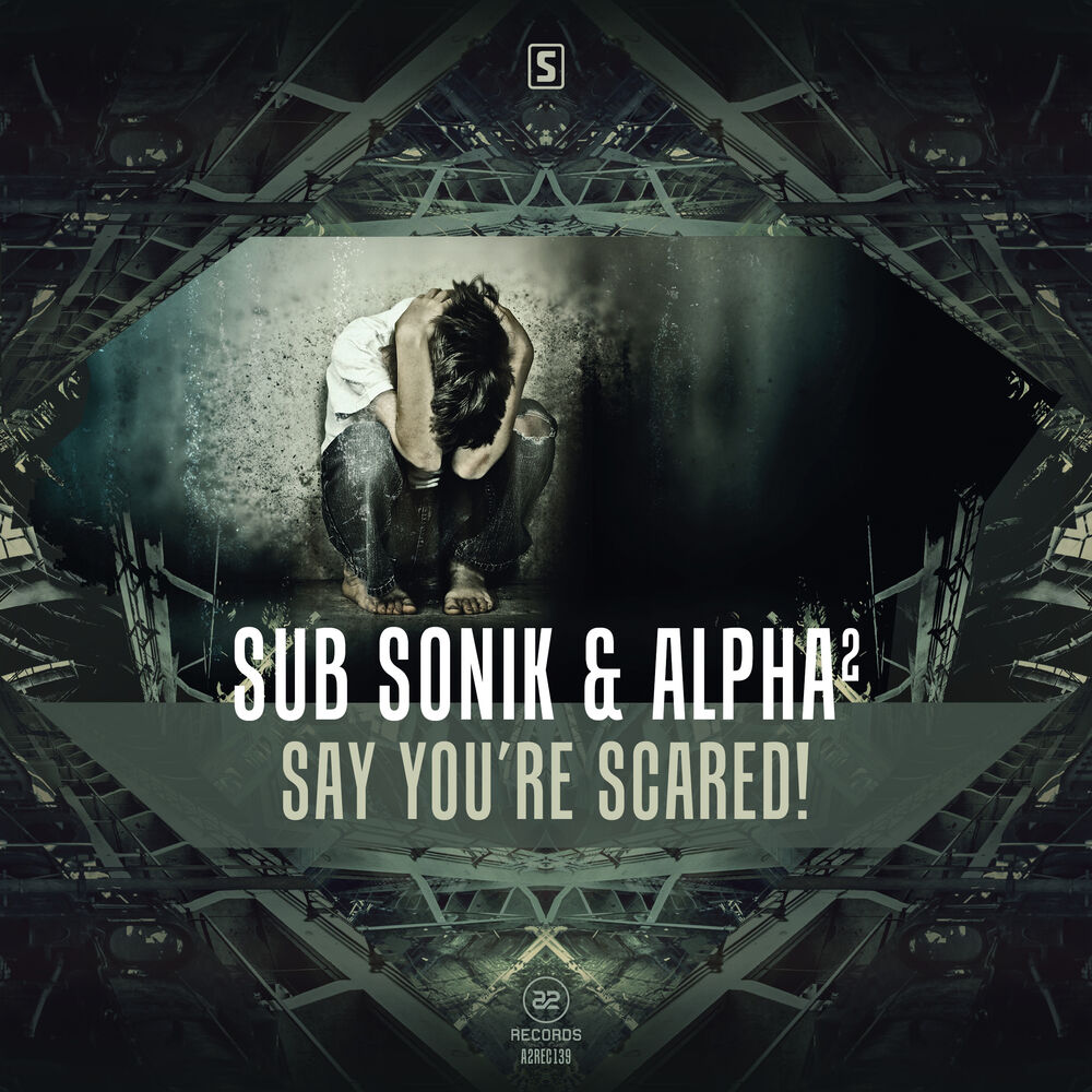 Picture of Say You're Scared!