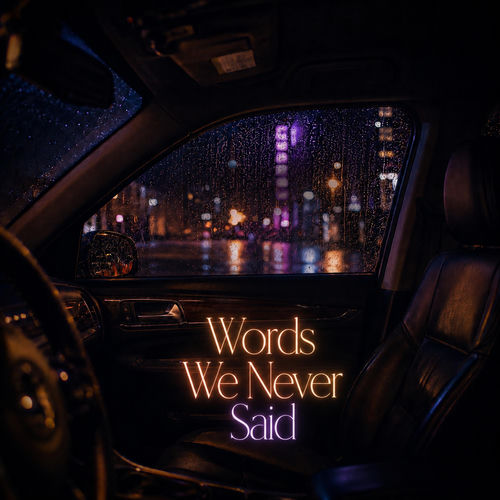 Words We Never Said