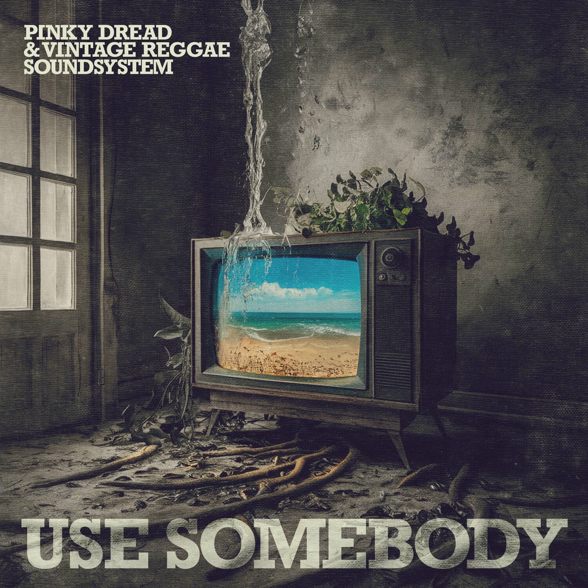 Album cover of Use Somebody