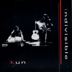 Cover of Indivisible