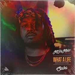 Cover of What a Life