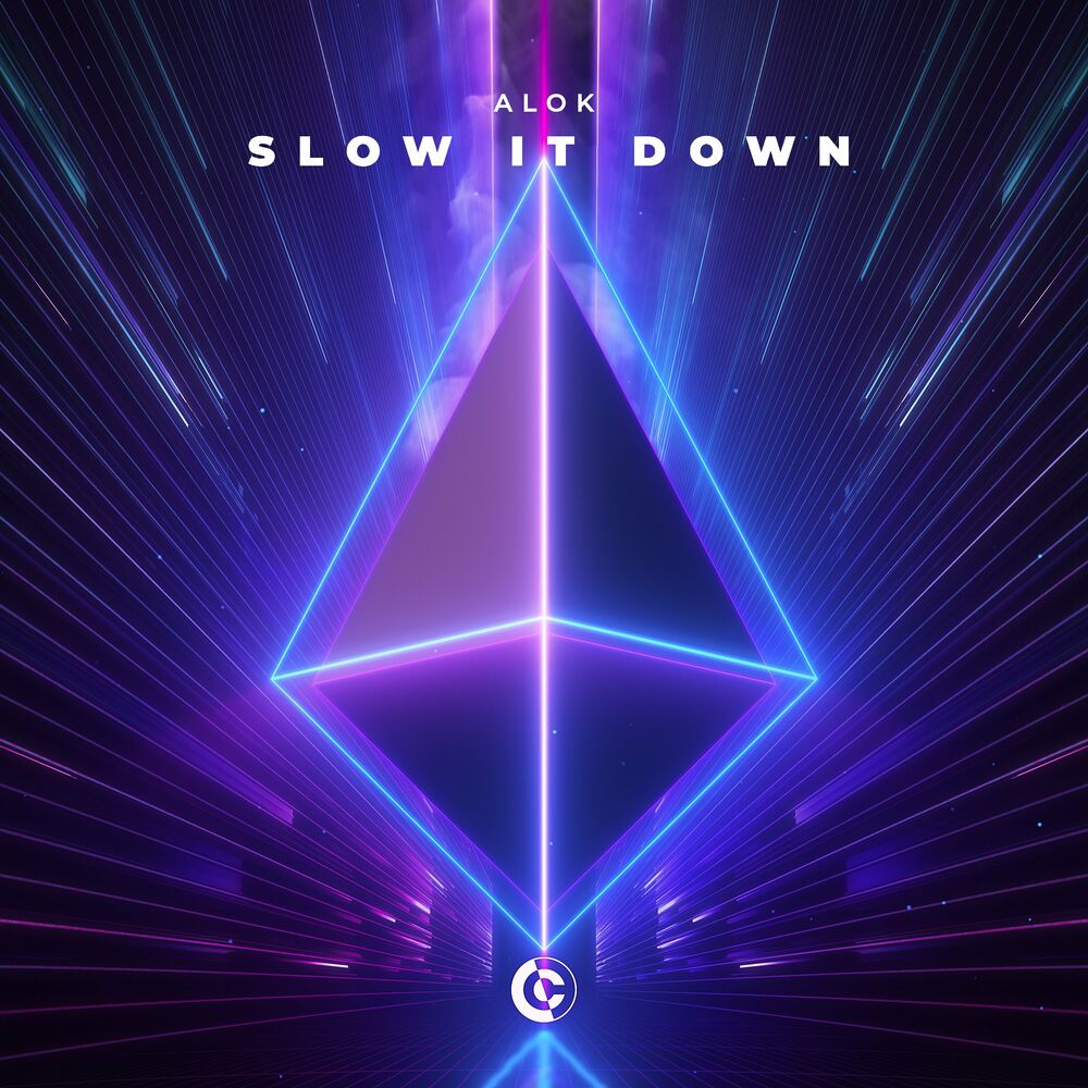 Picture of Slow It Down