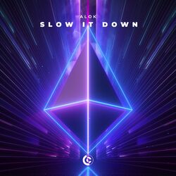Cover of Slow It Down