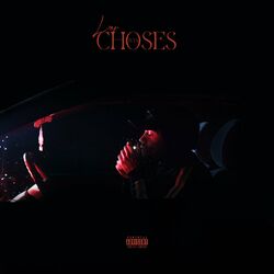 Cover of Les choses