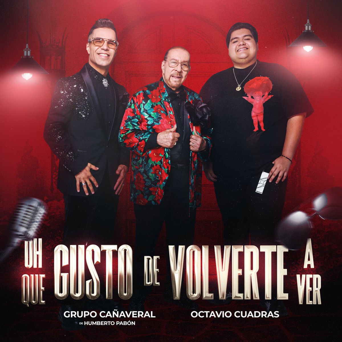 Album cover of Oh Que Gusto De Volverte A Ver