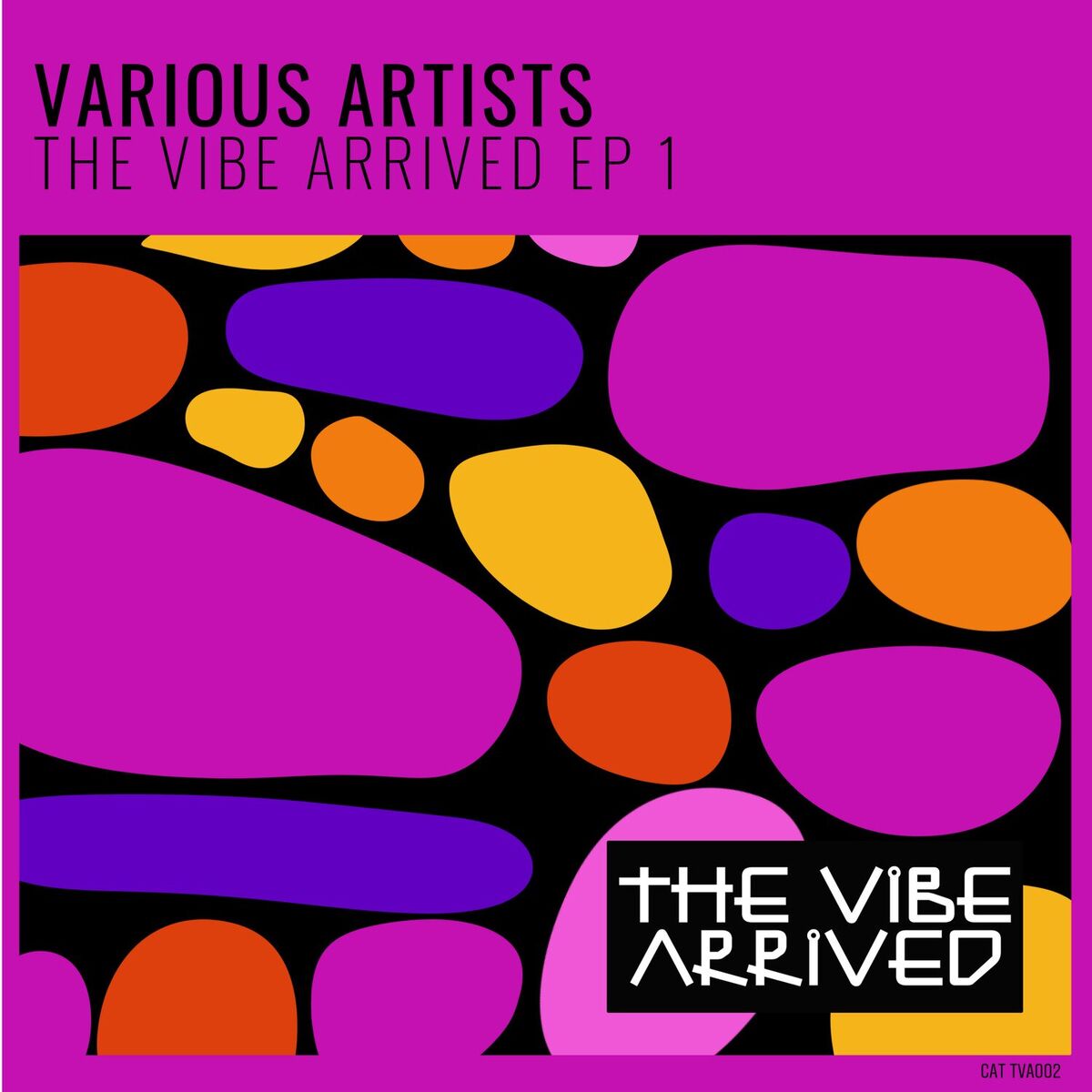 Album cover of The Vibe Arrived EP 1