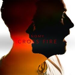 Cover of Cross fire