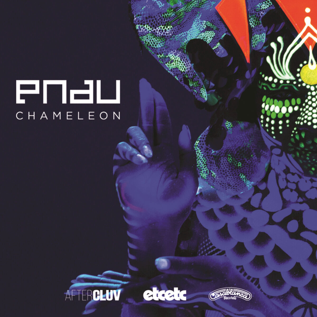 Album cover of Chameleon