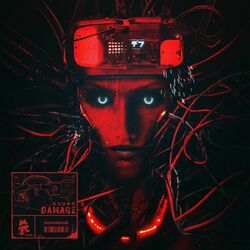 Cover of DAMAGE
