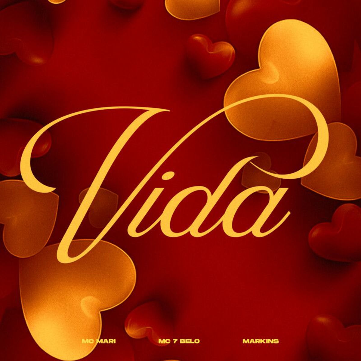 Album cover of Vida