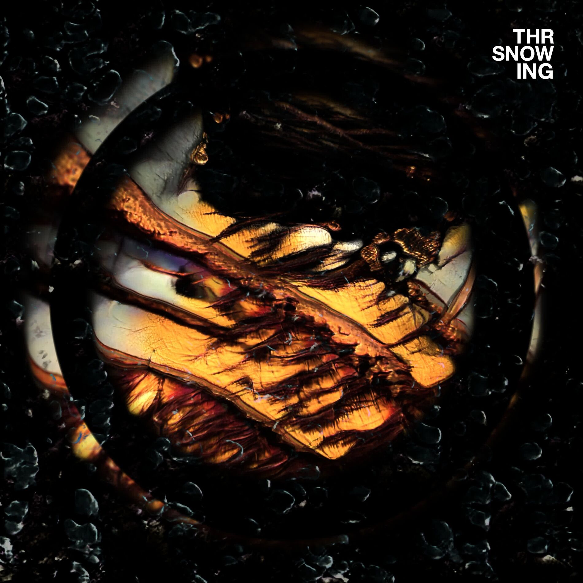 Album cover of Brujita