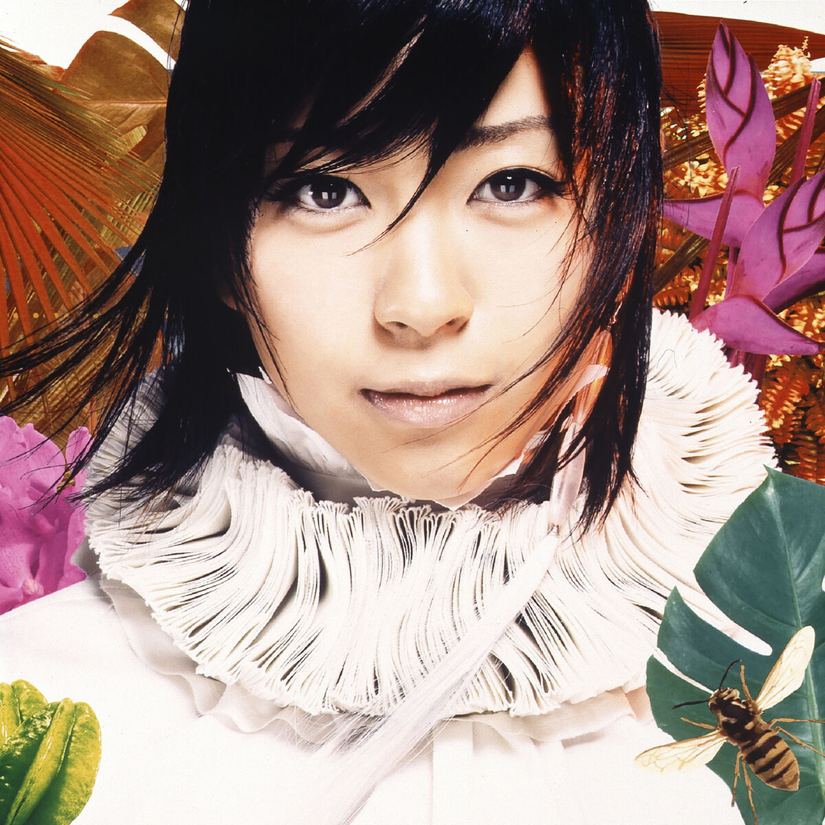 Album cover of Sakura Drops